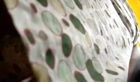 La chica con los tatuajes trabaja con la vagina después de la mamada en el xxx cachudos