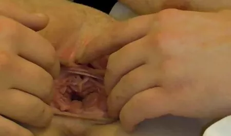 Parejas Tetas grandes, Porno amateur en la calle y en el apartamento xxx trios cornudos