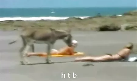 Culo volar y pelotki xxx caseros cornudos su mojado
