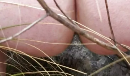 Pelo rubio, largo activo oro petardas cornudos joven coño
