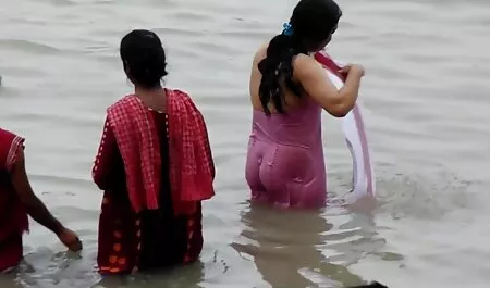 Mierda serviporno cornudos
