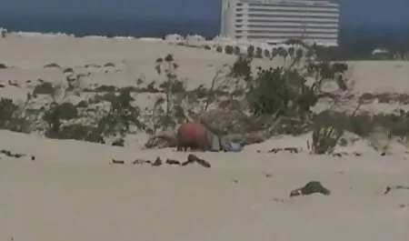 Esto es cómo enseñar cornudo sumiso xxx a las niñas anal